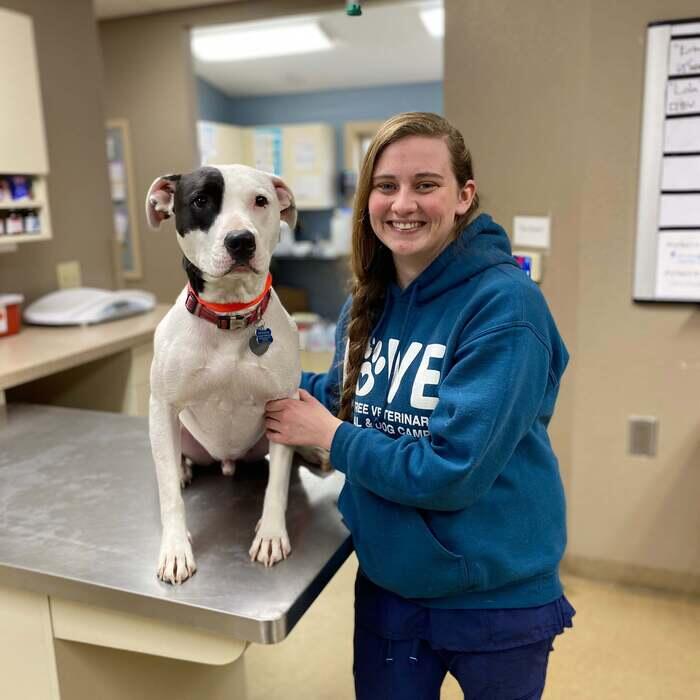 Alisha Weaver</br> Veterinary Assistant photo