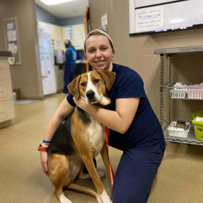 Anna Goodfellow</br> Veterinary Nurse Assistant photo