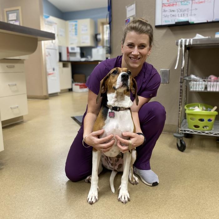 Christina Hepner</br> Veterinary Nurse Assistant photo