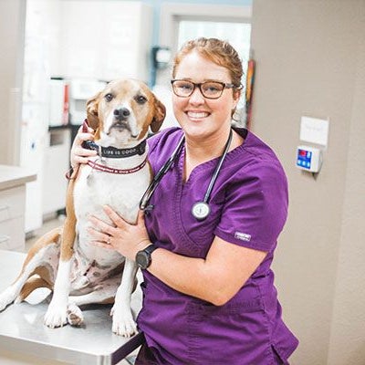 Emiley Powell</br> Registered Veterinary Technician photo