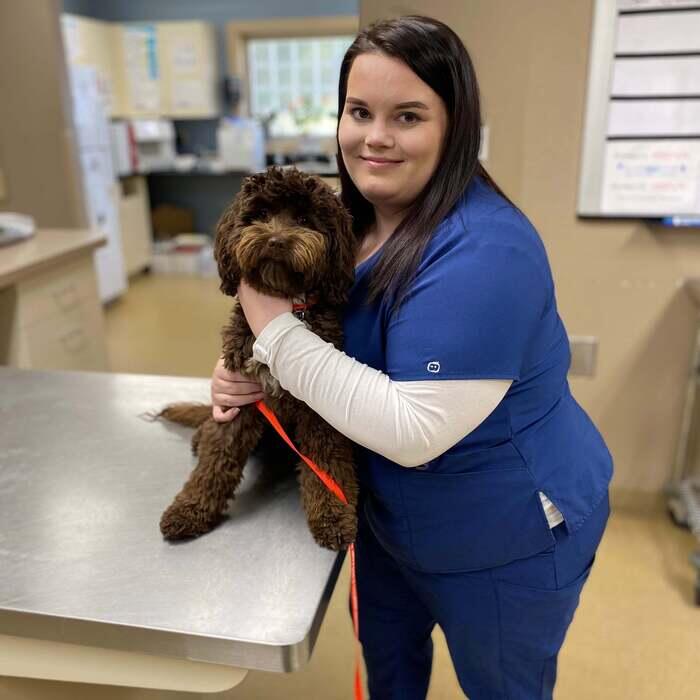 Haley Cole</br> Veterinary Nurse Assistant photo